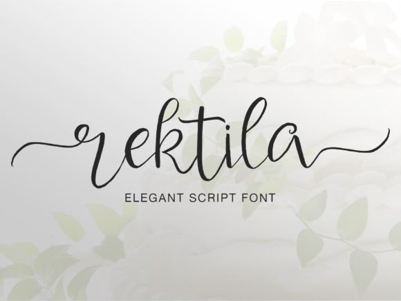 Download Rektila - Premium Resources