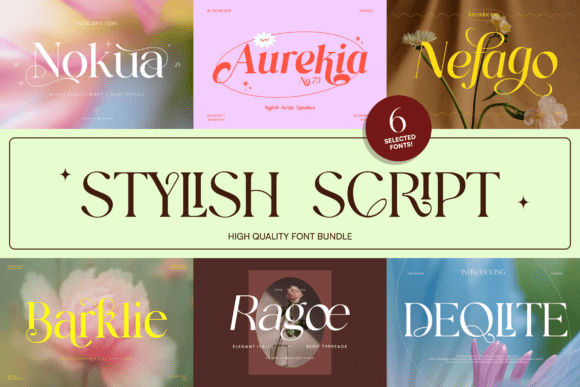 Download Stylish Script Bundle - Premium Resources